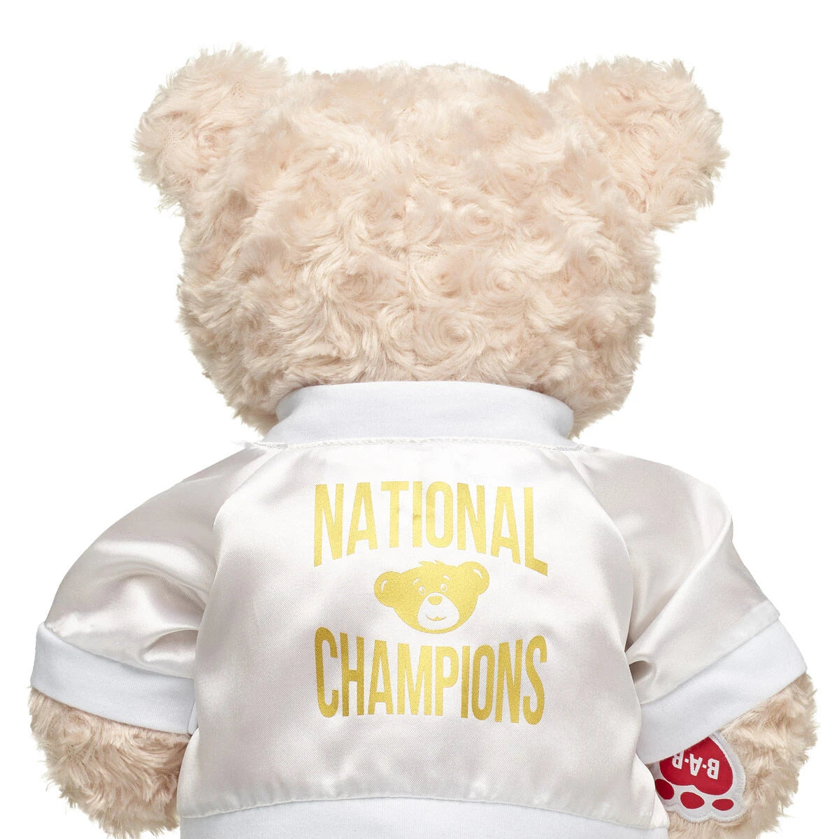 Varsity Spirit National Champions Jacket | Build-A-Bear® - US 5149