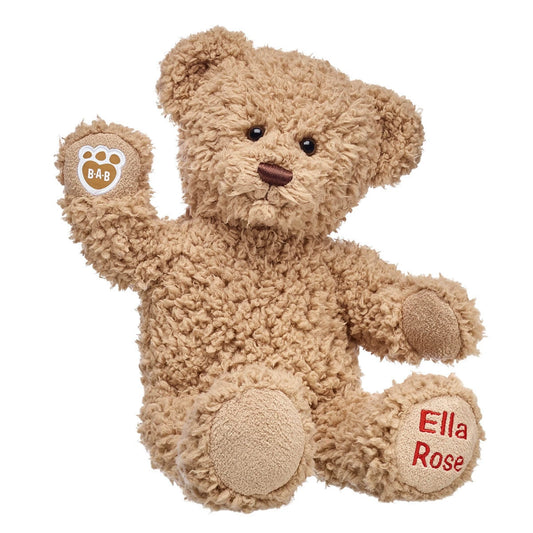 Embroidered Teddy Bear | Online Exclusive Gift | Shop at Build-A-Bear® - US 8814