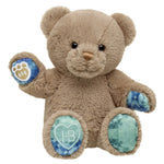 Well Wishes Teddy Bear | Build-A-Bear® - US 8433