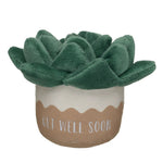 HB GET WELL PLANT - US 9340