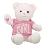 Baby Pink Teddy Bear "It's a Girl" Gift Set | Build-A-Bear® - US 7801