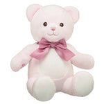 Baby Pink Teddy Bear with Gifting Bow | Build-A-Bear® - US 7895