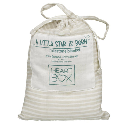 Monthly Milestone Baby Blanket | Build-A-Bear® - US 0173
