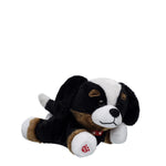 Build-A-Bear Mini Beans Promise Pets Bernese | BAB - US 6154