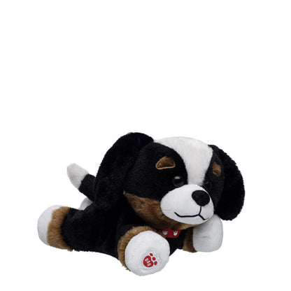 Promise Pets Bernese Mountain Dog Stuffed Animal Mini Beans Gift Set | Build-A-Bear - US 1645