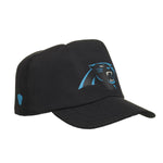 Carolina Panthers Fan Hat for Stuffed Animals - US 0247
