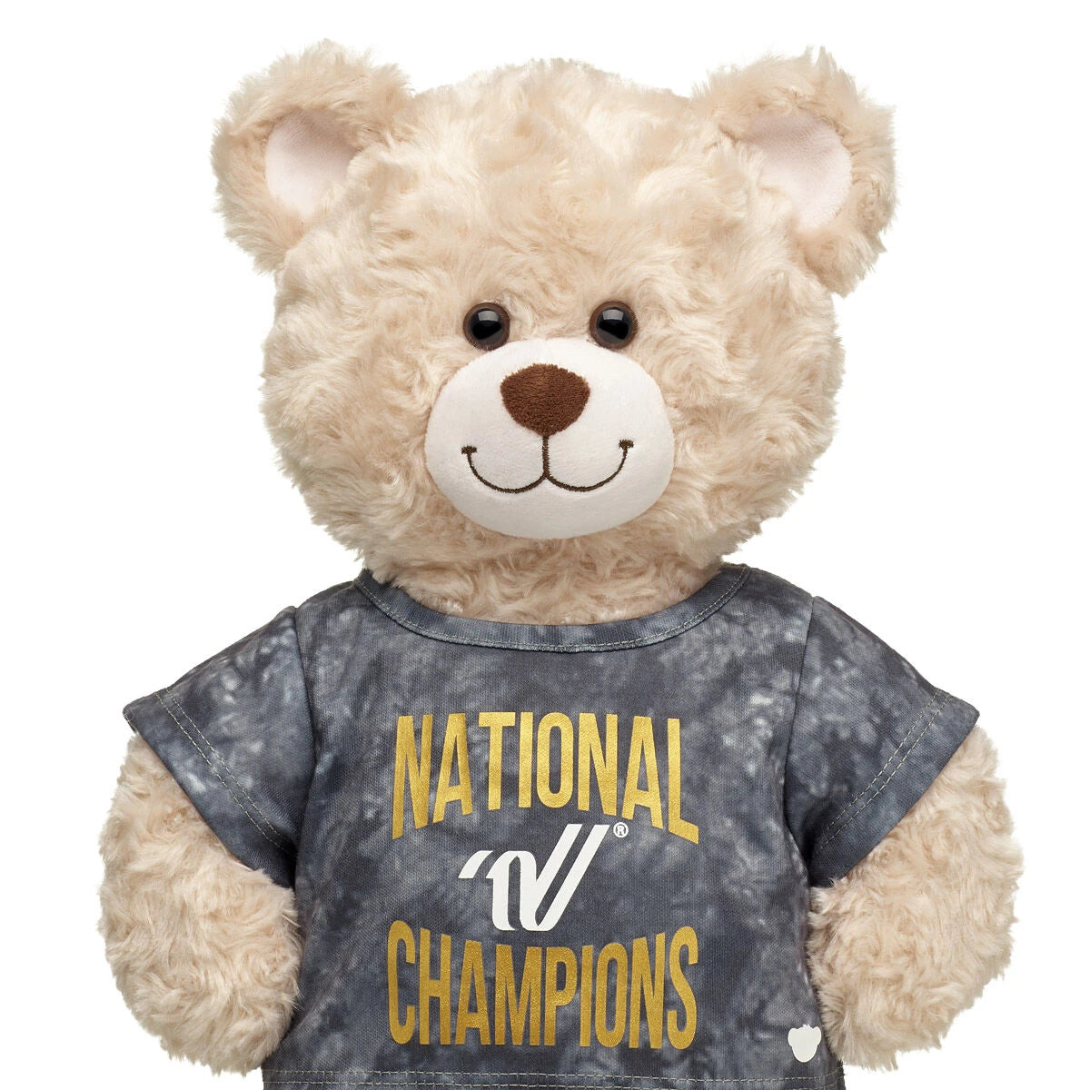 Varsity Spirit National Champions T-Shirt | Build-A-Bear® - US 4319