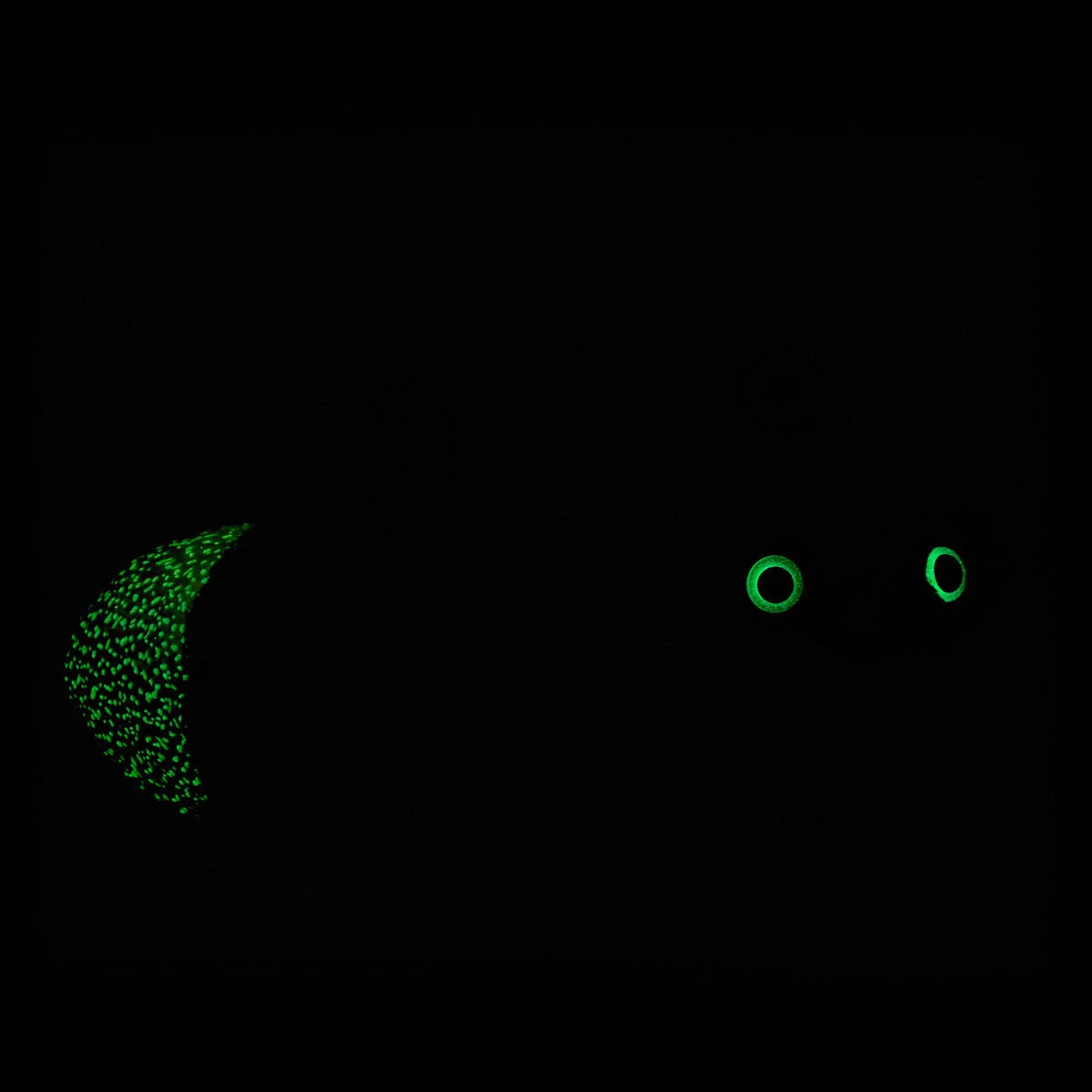 Glow-in-the-Dark Lightning Bug Stuffed Animal | BAB - US 1246