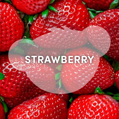 Strawberry Lemonade Bear Slushie Plushie Scented | BAB - US 2338