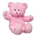 Pink Cuddles Teddy Bear | Build-A-Bear® - US 4814
