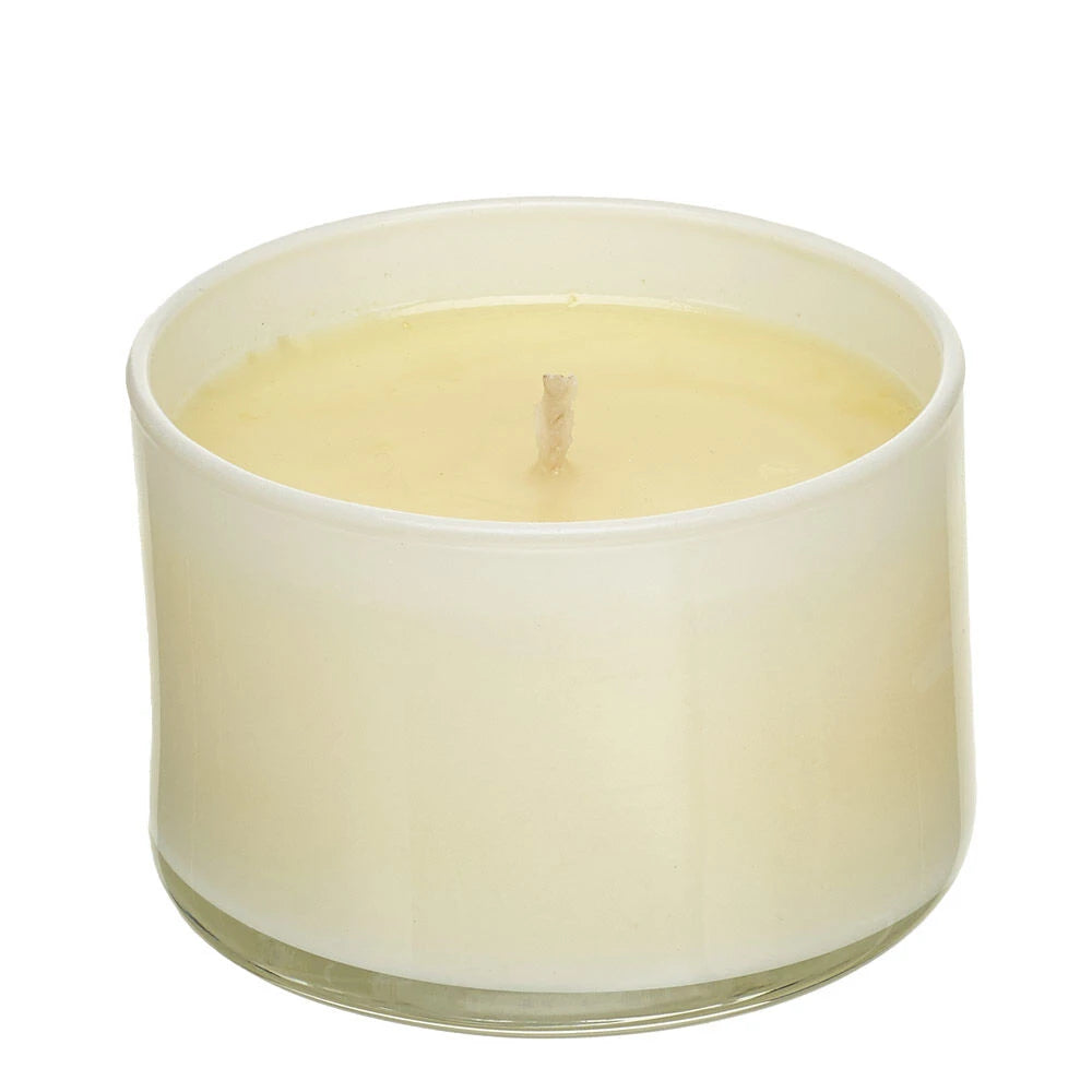 Trapp Signature Home Collection—No. 25 Lavender de Provence Scented Candle | Build-A-Bear® - US 3019
