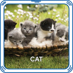 Kitty 5-in-1 Sound for Stuffed Animals | Build-A-Bear® - US 2716