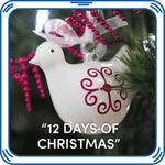 12 Days of Christmas Sound for Stuffed Animals | Build-A-Bear® - US 9855
